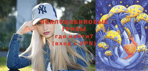бутират Белокуриха