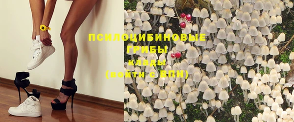 бутират Белокуриха