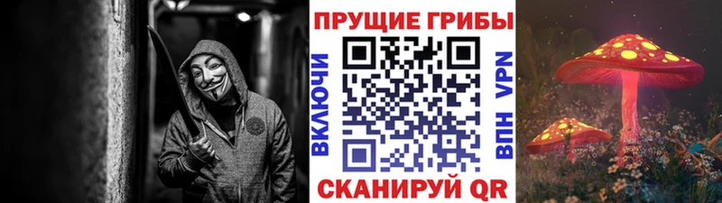 Псилоцибиновые грибы Magic Shrooms  hydra ONION  Вельск 